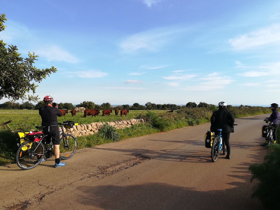 Sicilian countryside - Itineraries by bike in Sicily